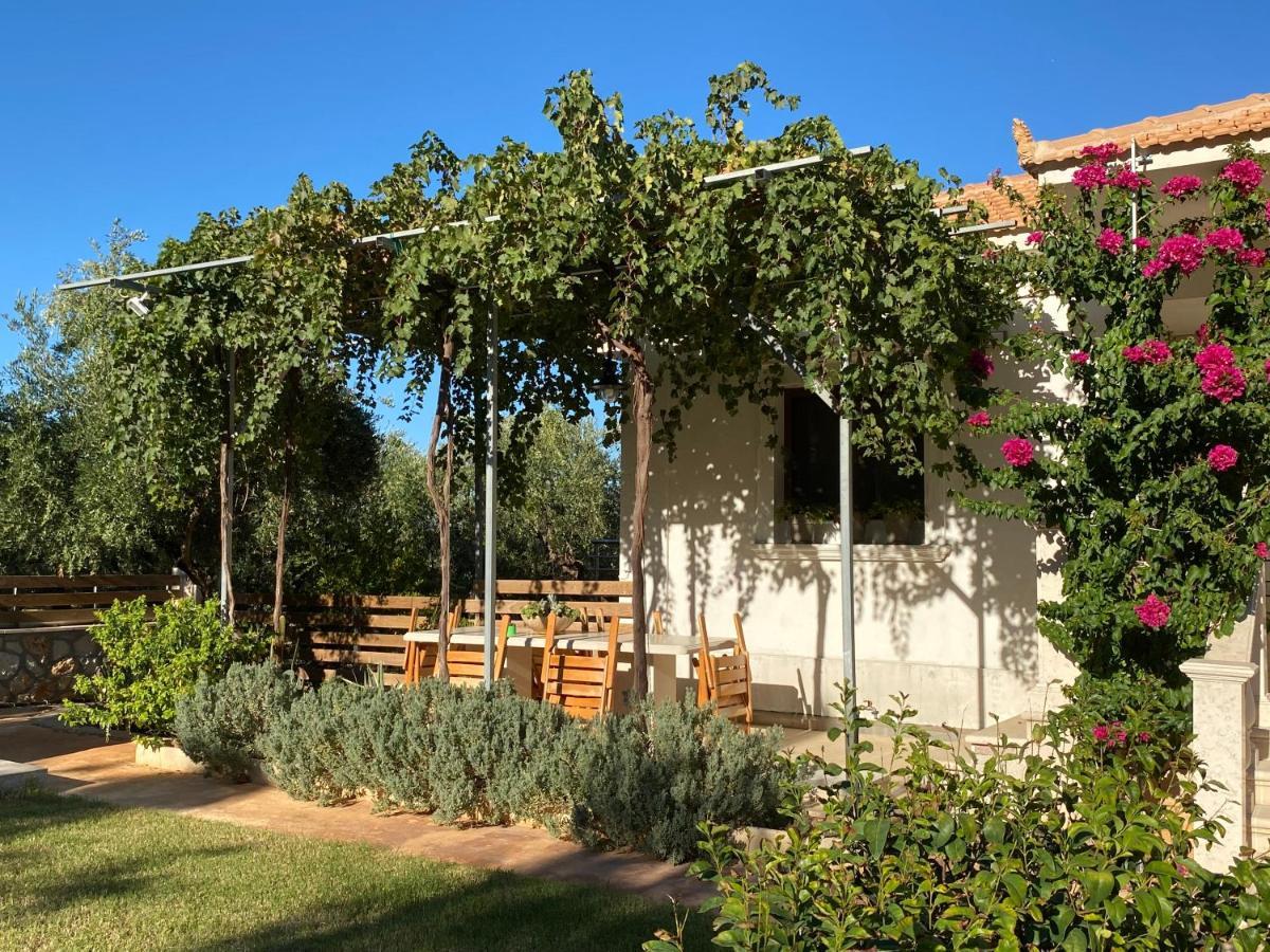 Villa Serenity Aγία Μαρίνα Εξωτερικό φωτογραφία